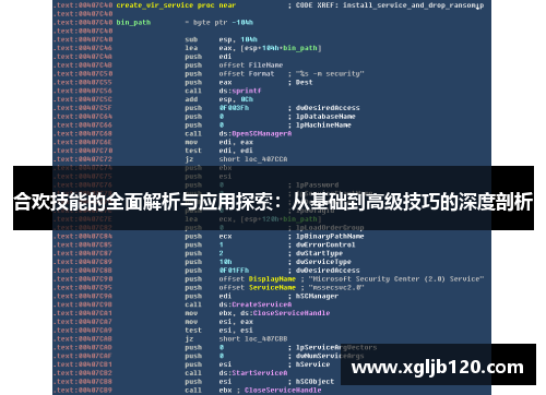 合欢技能的全面解析与应用探索：从基础到高级技巧的深度剖析