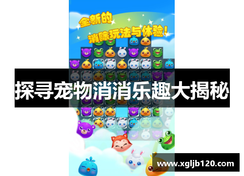 探寻宠物消消乐趣大揭秘